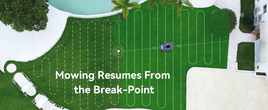 Robot grass cutter in Australian backyard